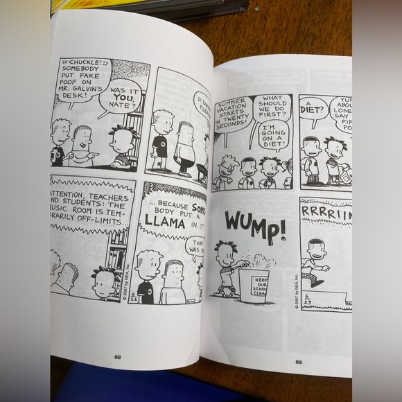 Big Nate out Loud Preteen/teen books. Amulet. The strange case of origami Yoda. - Picture 12 of 15